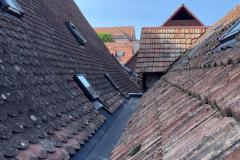 Figure 28: Chéneau EPDM, Turckheim (68)