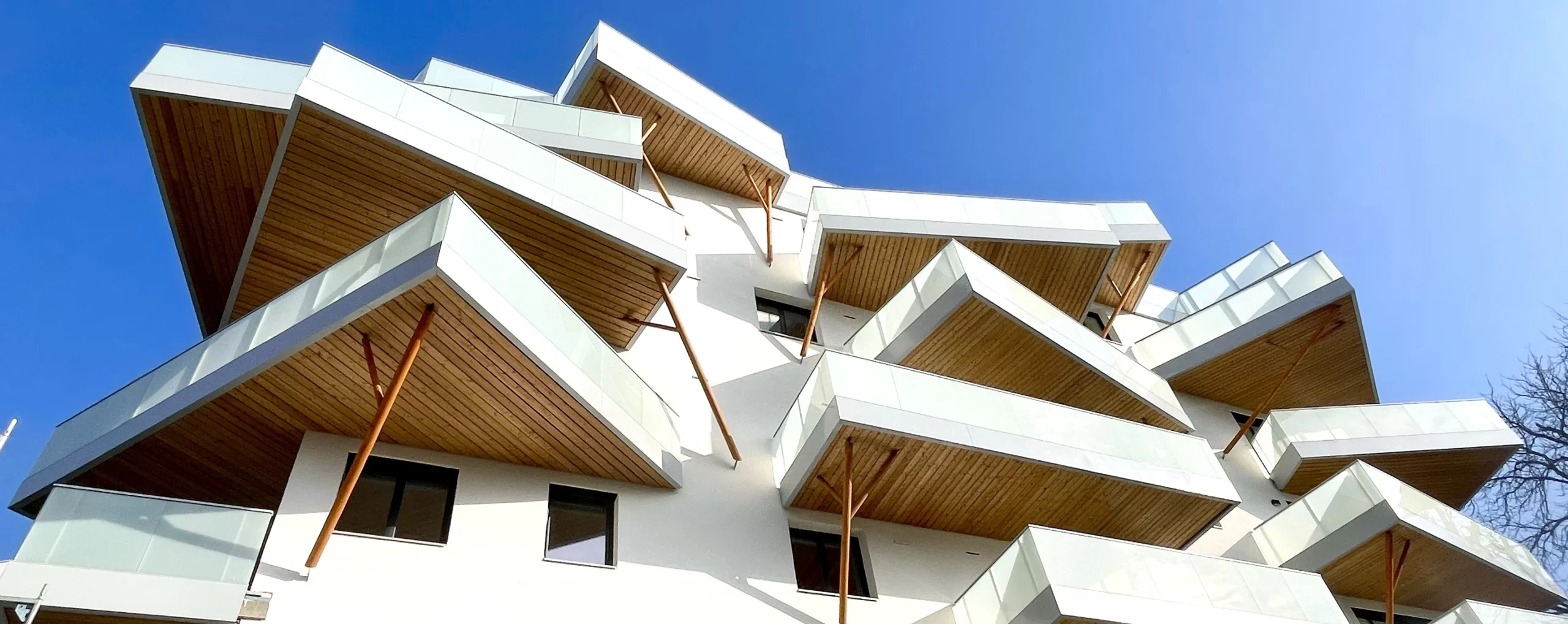 Figure 4: Sous-faces mélèze